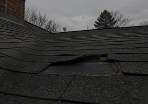 Lifted shingles with the underlay exposed